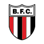 Botafogo Sp Youth